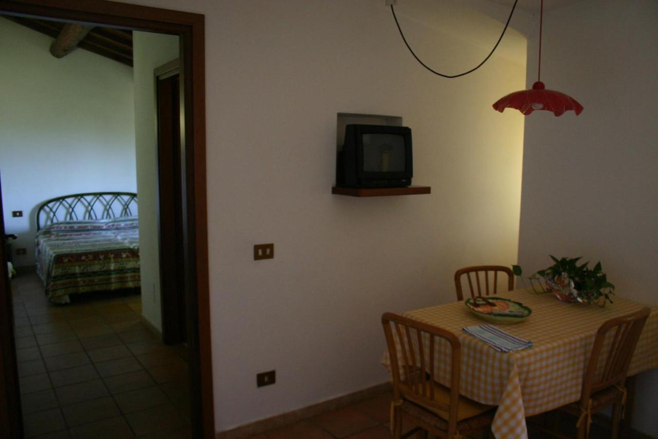 Agriturismo Oliveto Di Geltrude Contessa Amelia Εξωτερικό φωτογραφία