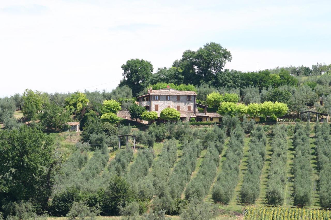 Agriturismo Oliveto Di Geltrude Contessa Amelia Εξωτερικό φωτογραφία